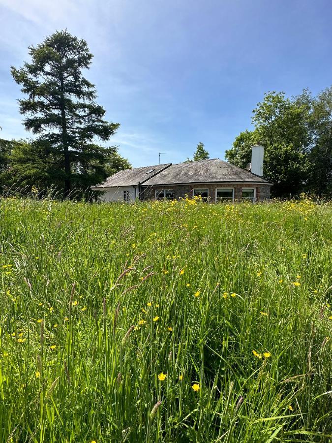 Balsoon Lodge Navan Buitenkant foto